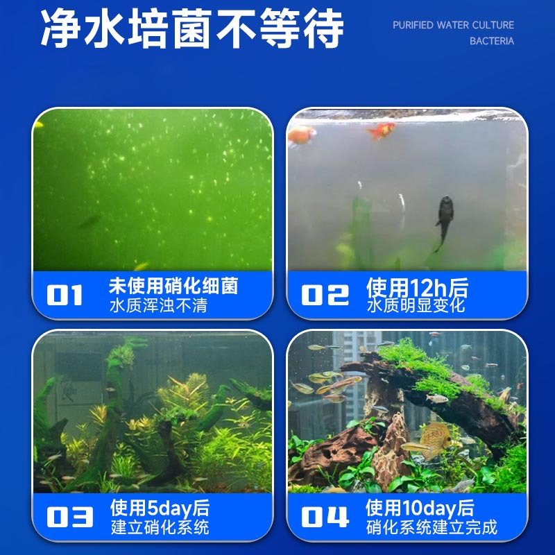 疯狂水草消化细菌鱼缸用净水稳定剂养鱼净化分解鱼粪高级感清水剂 - 图1