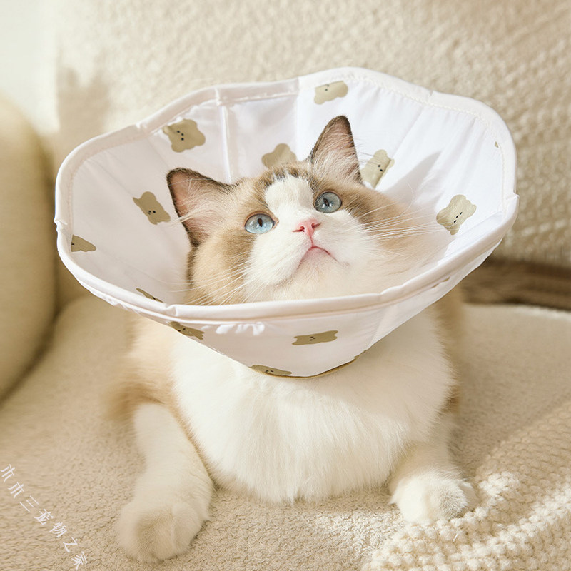 伊丽莎白圈猫咪小型犬软头套轻薄绝育圈幼猫狗狗防舔防咬防水脖圈,淘宝优惠券,粉丝福利购,淘宝优惠卷