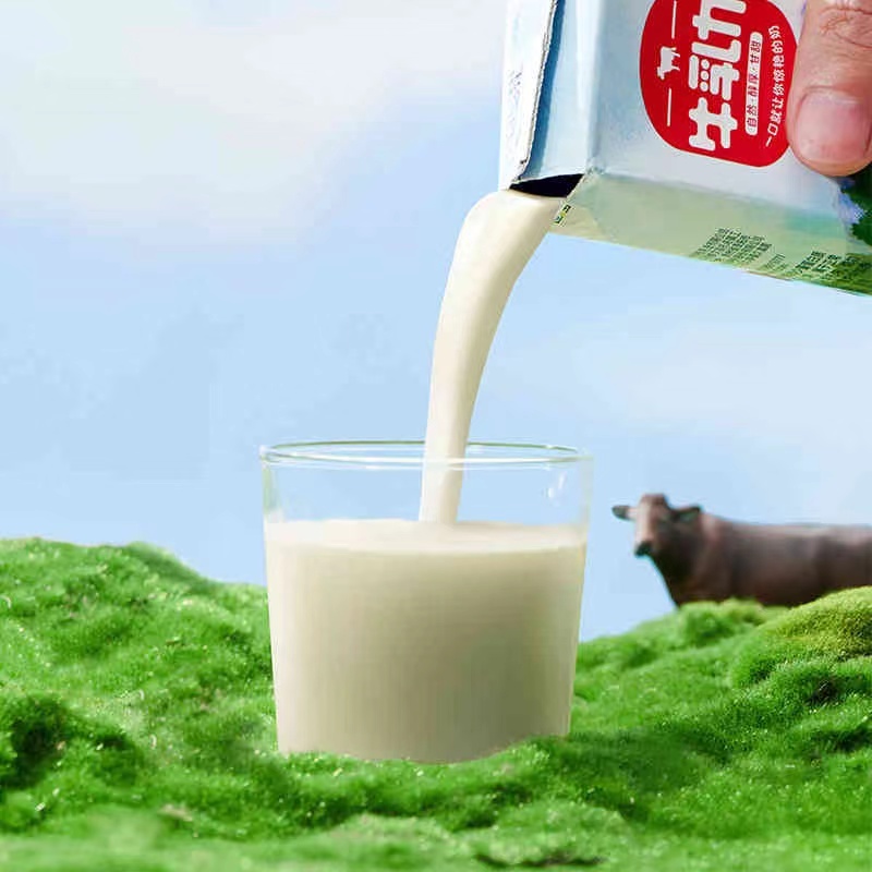 来伊份牛乳力200ml*12盒整箱装纯牛奶生水牛乳活性蛋白营养早餐奶 - 图1