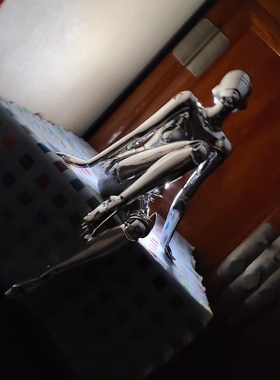 现代简约潮玩空山基机械姬客厅