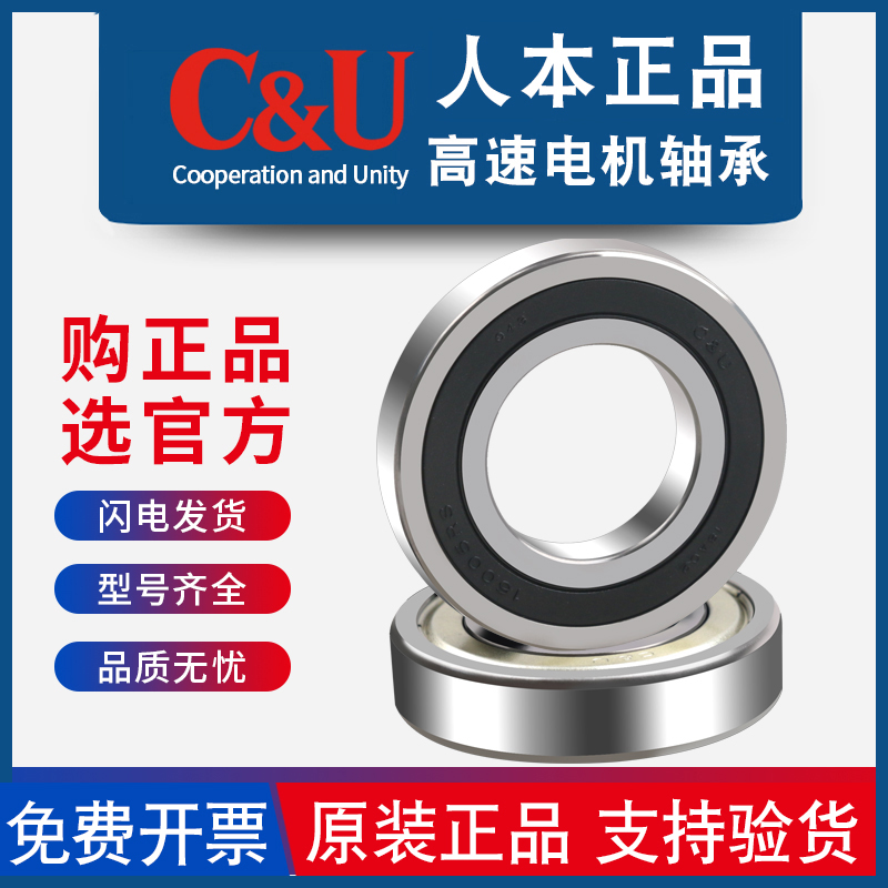 人本轴承16001 16002 16003 16004 16005 16006 16007 16008Z RS - 图1