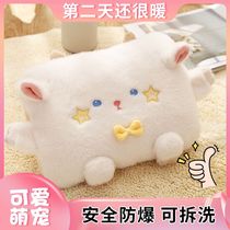 Cartoon Charging Hot Water Bag Explosion Proof Warm Baby Warm Water Bag Double-sided Plush Cute Warm Hand Bao Girls Hot Compress Belly