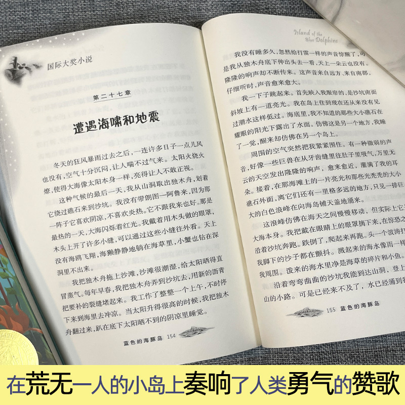 正版蓝色的海豚岛国际大奖小说小学生课外阅读书籍 7-12岁儿童读物大奖小说升级版三年级四五六年级读书 新蕾出版社 - 图3