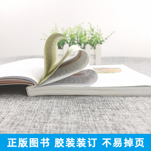 彼得兔的故事注音拼音版全集小学生一二三年课外阅读经典书目福建少年儿童出版社幼儿上下册绘本非原版书单本蜗牛小书坊故事绘 - 图2