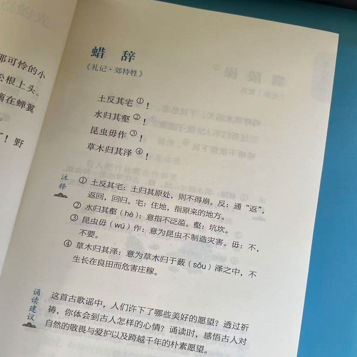 日有所诵五年级上下册全套正版小学生5年级第七版5小学我的亲近母语课幼儿每日诵读广西师范大学出版社二阅读测试写作课大字珍藏版