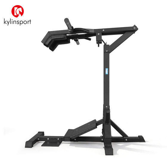 Hack Squat Single Standing Gym
