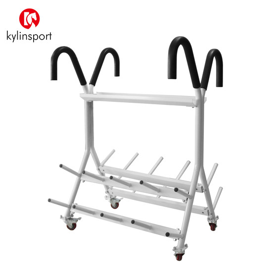 Barbell rack with removable Olympic bar to store fitness equipment