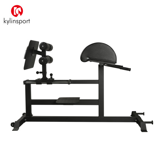 Roman chair fitness chair goat push up waist power back