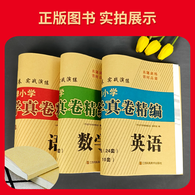 2024版江苏省小升初考试适用 江苏13大市名牌小学毕业升学真卷精编语文+数学+英语 3年真卷实战演练小升初真题试卷必刷题 超能学典