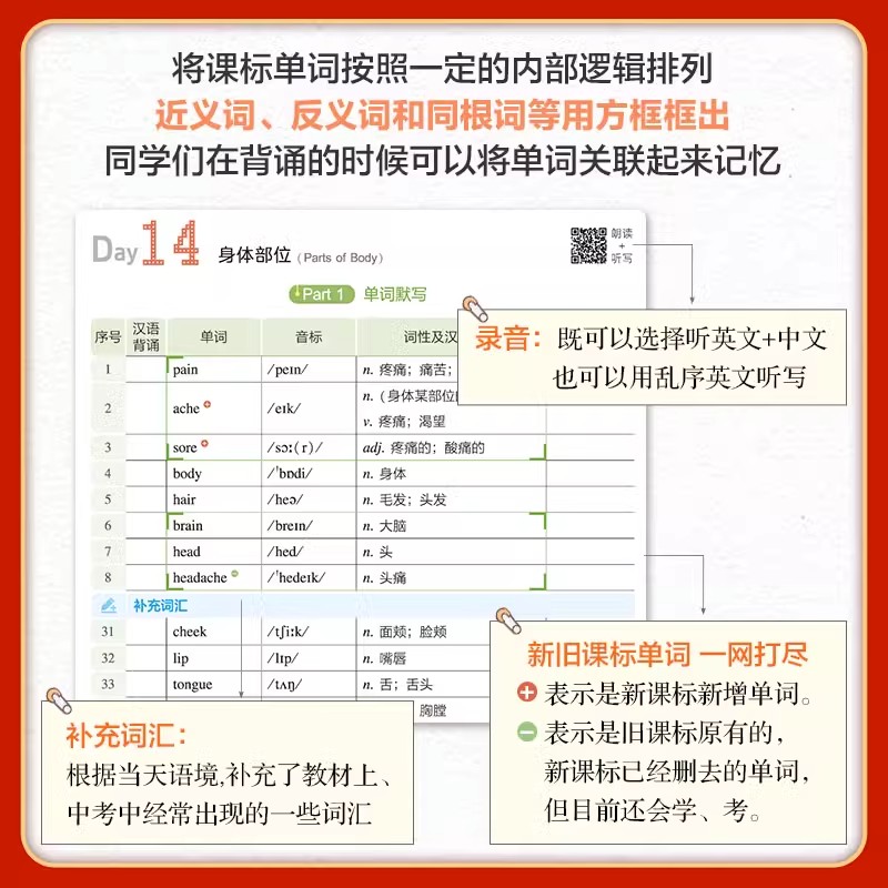 2024版 53语境背单词初中词汇1600词 全国通用 初一初二初三七八九年级中考复习五三英语情景语境记单词初中词汇必背单词记背神器 - 图1