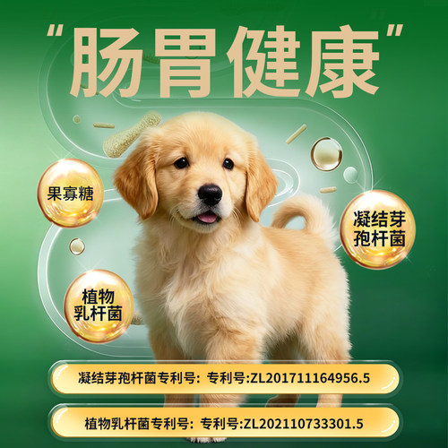 【亨特幼犬粮】长肉增肥好吸收好消化营养均衡全价幼犬粮 - 图2