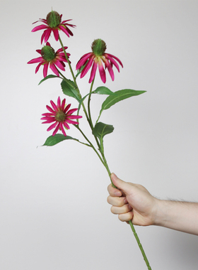 猫先生野趣假花异形花松果菊绢花