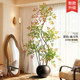 Simulated green plants, colorful nandina bamboo, high-end light luxury indoor living room decoration, large bionic plant floor-standing fake potted plants