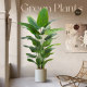 Bird of paradise bionic