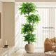 Simulated green plant happiness tree living room large potted indoor light luxury decorative flower bionic plant floor-standing ornament fake tree