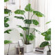 Nordic simulated green plants interior decoration ornaments
