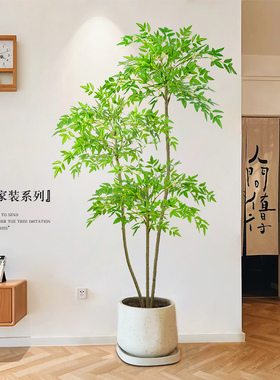 森泰园艺假植物轻奢摆件仿真绿植