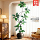Rubber tree simulated green plant high-end light luxury living room ornaments large indoor floor-standing bionic potted fake plant decoration