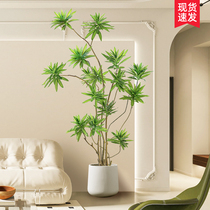 Biomimetic Green Plant Lily Bamboo Indoor Advanced Decoration Pendulum Piece Living Room Landing Simulation Tree Potted Tree Potted Tree Potted Silent Wind Fake Plant