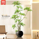 The top ten achievements of simulated green plants indoors, fake plants, floor-standing potted plants, wabi-sabi style, advanced bionic plant decorative ornaments