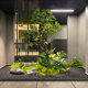 High-quality simulated horse drunken wood green plants landscaping window plants indoor banyan tree decorative tree large artificial tree landscape