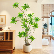 Green Plant Simulation Lily Bamboo Light Luxury Indoor Large Landing Fake Potted Plant Living-room Adornment Bionic Flower Furnishing