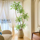 Nandina bamboo simulated green plants high-end light luxury indoor living room TV cabinet floor-standing ornaments bionic plant potted fake trees