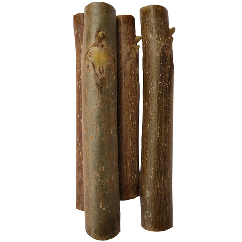文玩核桃麻核桃接穗蛤蟆头狮子头春季嫁接使用闷尖磨盘白狮子码子 - 图2