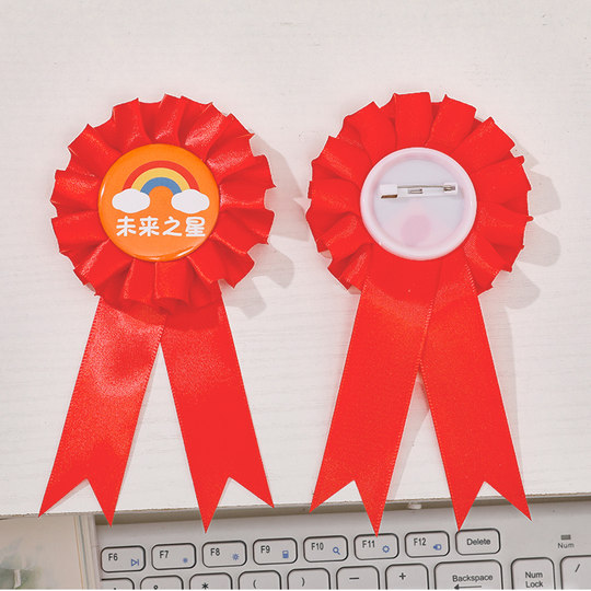 Kindergarten student award corsage pin inspirational prizes