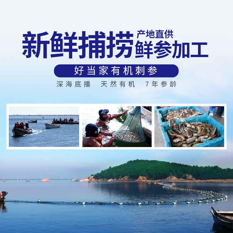 好当家食品旗舰店好当家即食参王1600g冷冻有机刺参20头海鲜海参礼盒3.2斤3