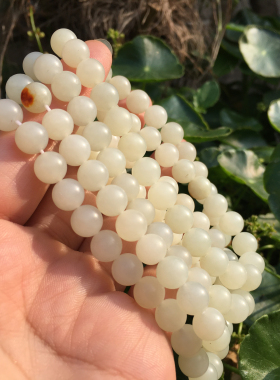 和田玉山流水白玉圆珠项链男女款多圈手链玉石毛衣链卡8的珠子1
