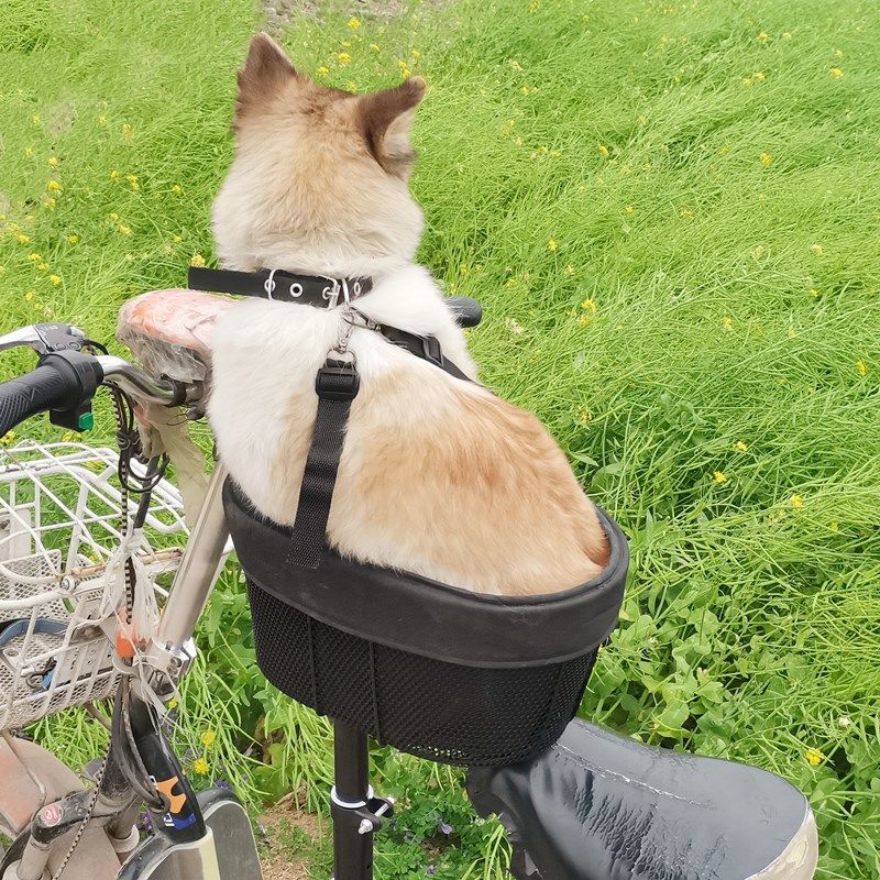 电动车带狗神器踏板车宠物座椅高景观带狗狗坐椅前置车载猫咪篮子,淘宝优惠券,粉丝福利购,淘宝优惠卷
