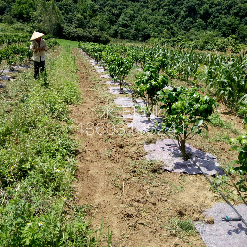 防草布除草布果园果树遮草盖草布农用园艺地布耐用透气保湿棉毛毡 - 图2