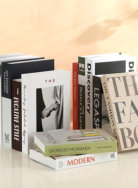 假书仿真书装饰品样板房网咖书房桌面摆件英文简约现代道具书盒