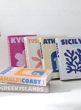 ins风英文假书摆件装饰品仿真书网红影楼拍摄道具摆件