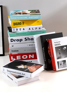 假书仿真书装饰品样板房网咖书房桌面摆件英文简约现代道具书盒