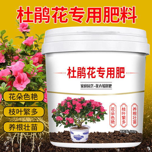 杜鹃花专用肥增根壮苗促花期颗粒缓释型生物菌肥全营养易吸收盆栽 - 图0