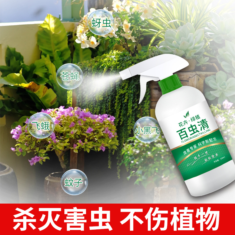 百虫清盆栽小菜园家用杀虫除虫剂红蜘蛛介壳虫蓟马蚜虫月季蔬菜 - 图1