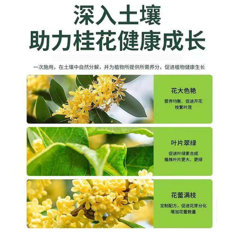 桂花树专用营养液植物花卉促开花防黄叶金桂银桂四季桂通用液体肥,淘宝优惠券,粉丝福利购,淘宝优惠卷