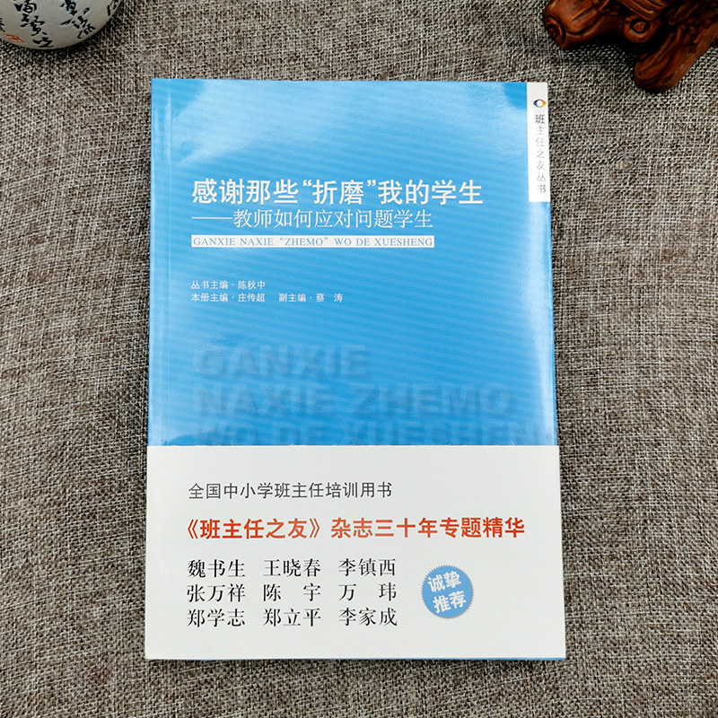 感谢那些折磨我的学生教师如何应对问题学生班主任之友丛书全国中小学班主任培训用书班主作德育工作中国人民大学出版社YC-图0