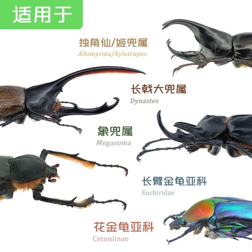 牧野虫社活性版深度发酵木屑独角仙幼虫甲虫食物饲料腐殖土专用 - 图1