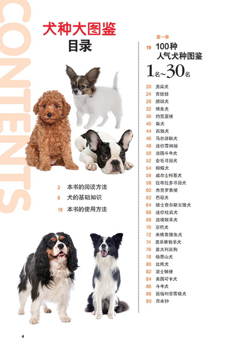 犬种大图鉴 世界纯种中拥有人气的犬种介绍书籍 188种犬类介绍书籍 狗的性格 血统 饲养的方介绍书籍 [日] 若山正之 著 - 图1