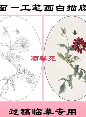 花鸟扇面椭圆形工笔画白描底稿
