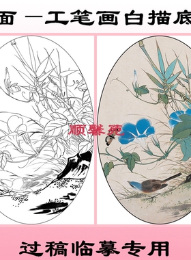 花鸟椭圆形扇面工笔画白描线描