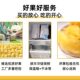Thai Golden Pillow Durian Meat Frozen is plump, soft, glutinous and sweet
