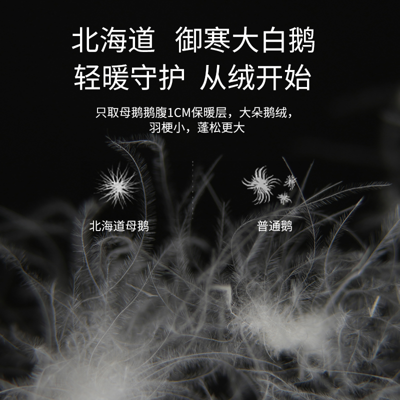日本羽绒被子95白鹅绒被黛芙瑞春秋被冬被芯冬天加厚保暖单双人被