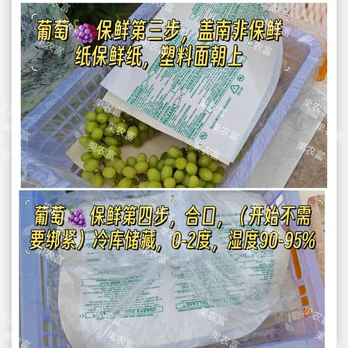 葡萄保鲜纸三件套专用保鲜剂包装纸防腐剂红提冷保鲜神器阳光玫瑰 - 图1