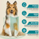 ສົ່ງຟຣີ Heritage dog food 20 pounds h3 issue Teddy VIP