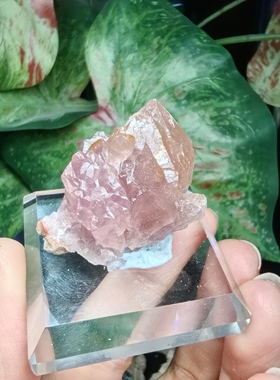 天然阿根廷粉水晶洞矿物晶体能量水晶原石原矿收藏标本摆件装