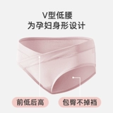 Хлопковые антибактериальные длинные трусы для беременных, большой размер